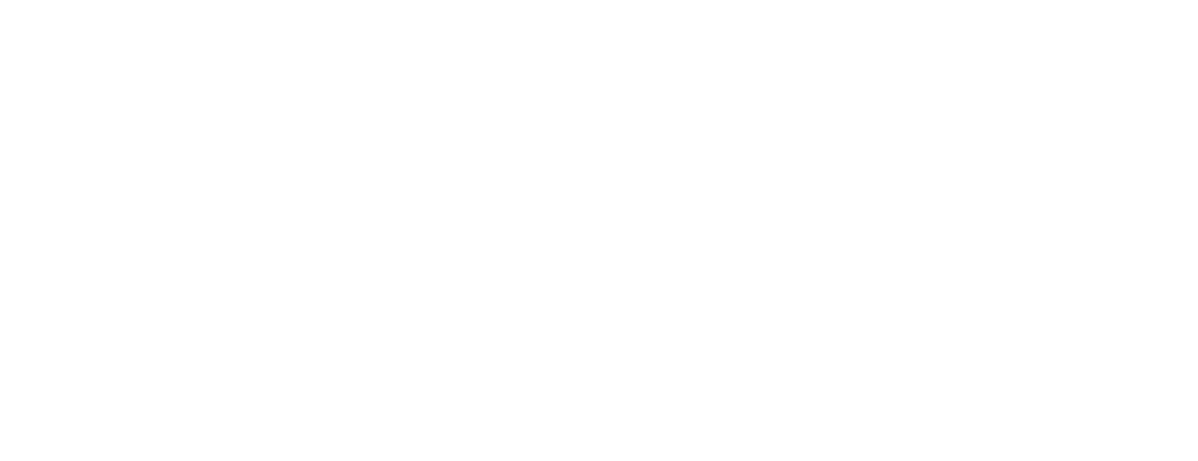 Tennessee Homemade Wines logo