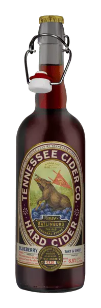 Blueberry Hard Cider