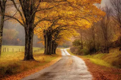 A view of Cades Cove in the Fall.
