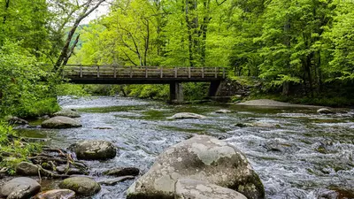 66a7e4fbe581d6bc6bc4ff2d_66a7e42120ca61da5fe21bf5_MetcalfBottoms[1]