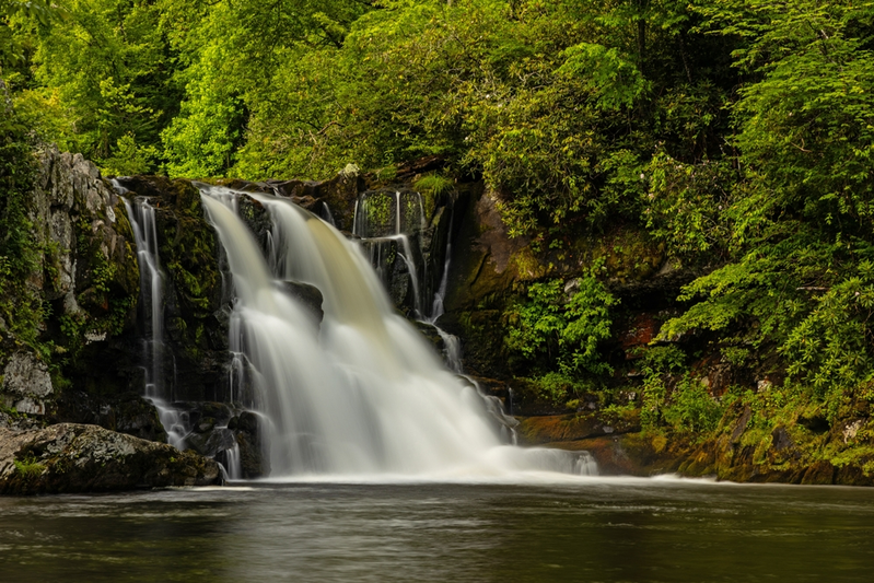 Abrams Falls - one of the top waterfalls in the Smokies