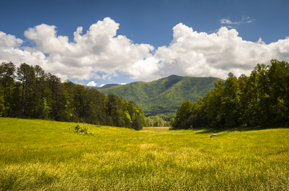 facts about the Smoky Mountains