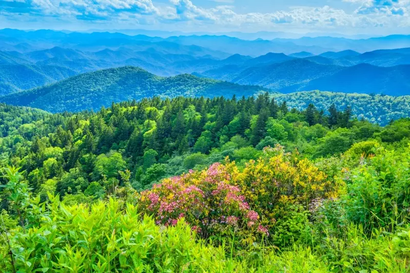 the Smoky Mountains in the spring