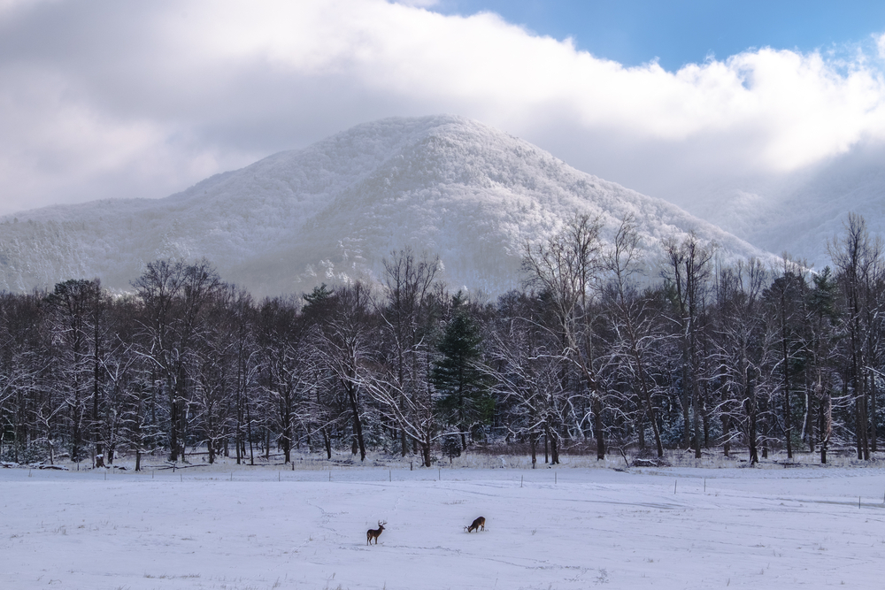 the smoky mountains in the winter at Cades Cove