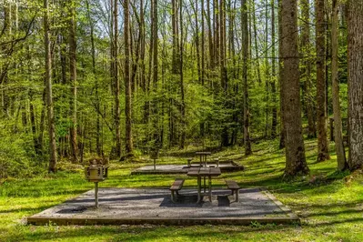 picnic areas in the smoky mountains